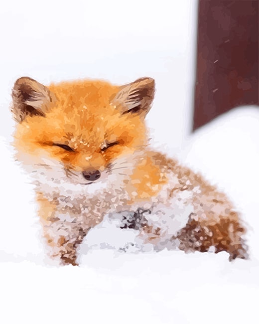 BabyFoxo